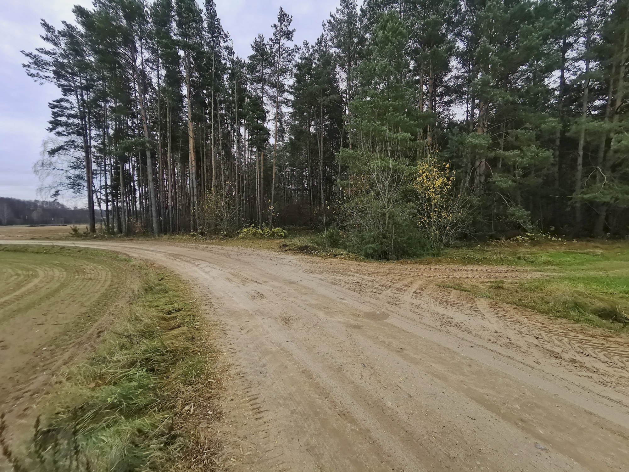 19-Jatwieź Mała, stan.1-cmentarzysko-Fot. L.Pawlata.jpg